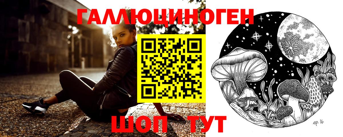 Галлюциногенные грибы Psilocybe Долгопрудный