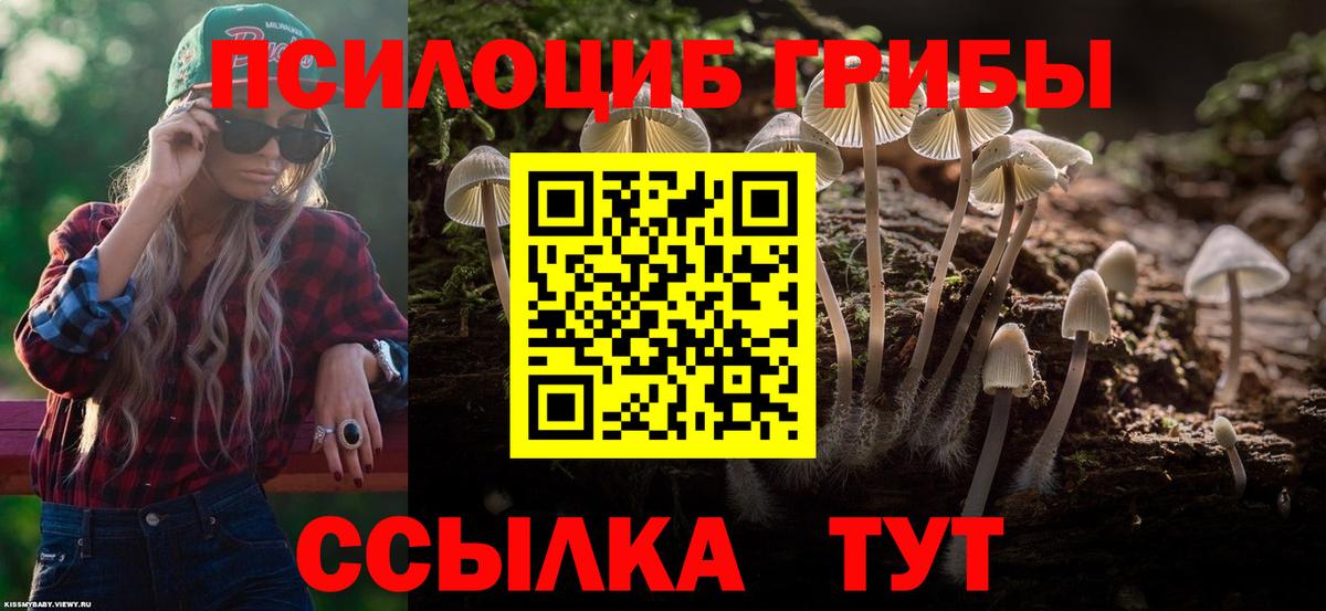 Псилоцибиновые грибы Magic Shrooms  Вход с VPN  где можно купить   Долгопрудный 